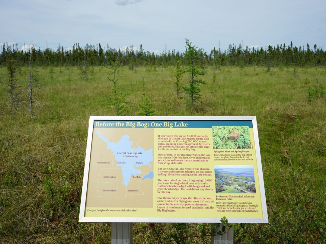 Big Bog State Recreation Area-Waskish必去景点