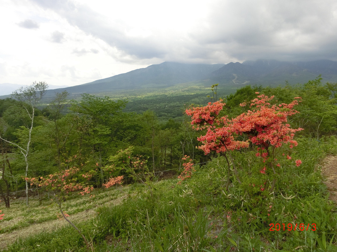 Shishi Rock Lookout-南牧村必去景点