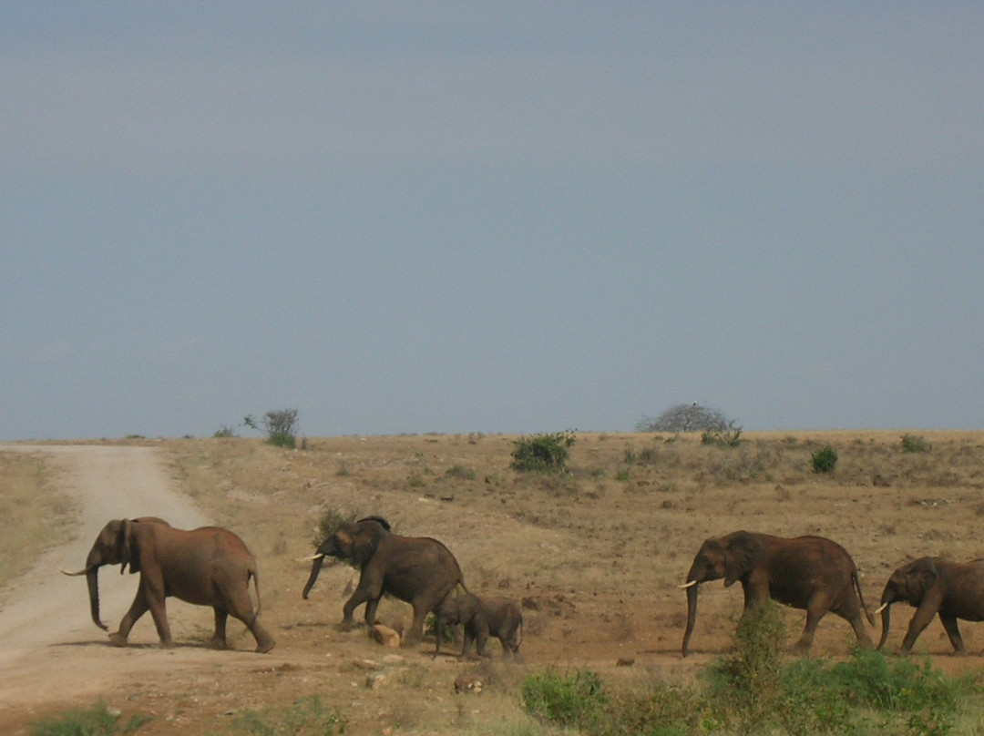 Coast Province旅游攻略图片