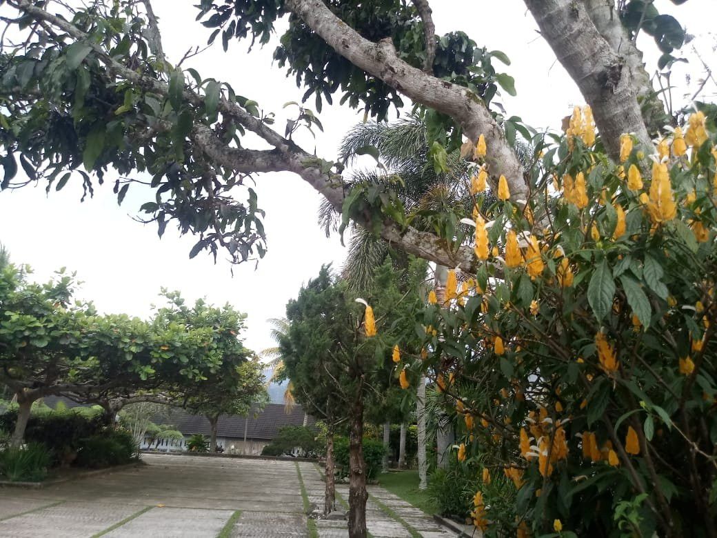 Hotel Kolivera主图