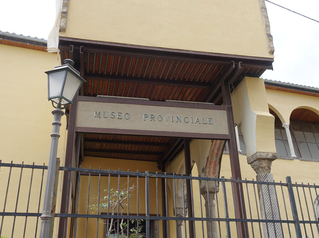Museo Archeologico Provinciale di Salerno景点图片