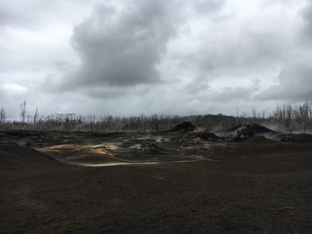 Aloha Lava Tours-Kalapana必去景点