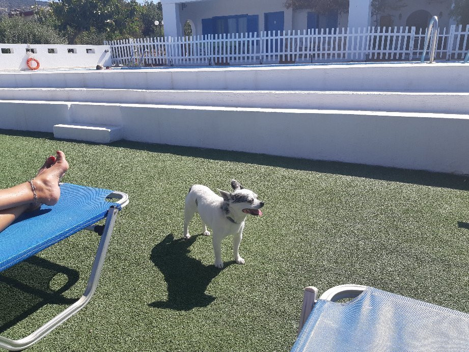 Residence Gerani主图