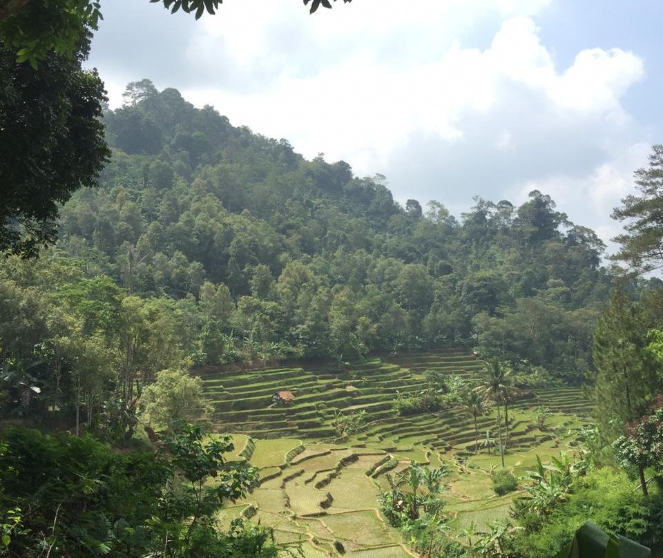 Situ Wulukut-Kuningan必去景点