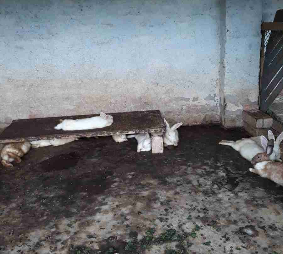 Wonder Land (Kajal Dighi)-Digha必去景点