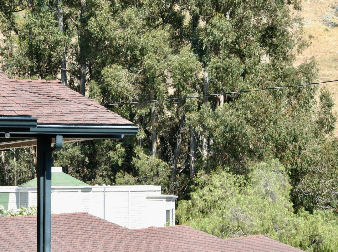 Peach Tree Inn主图