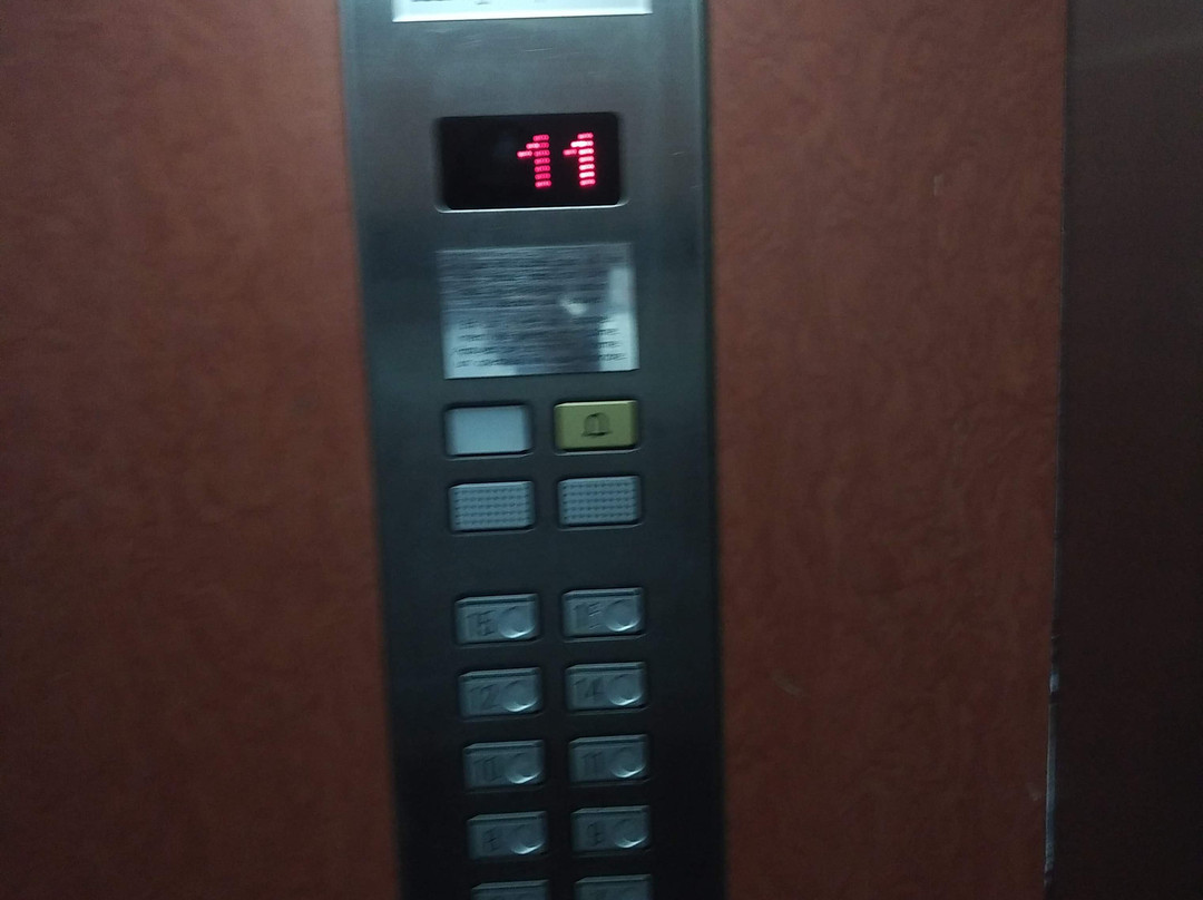 Laico Hotel L'amitie Bamako主图