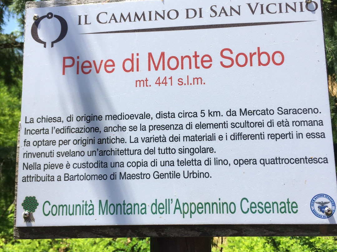 Pieve di Monte Sorbo景点图片