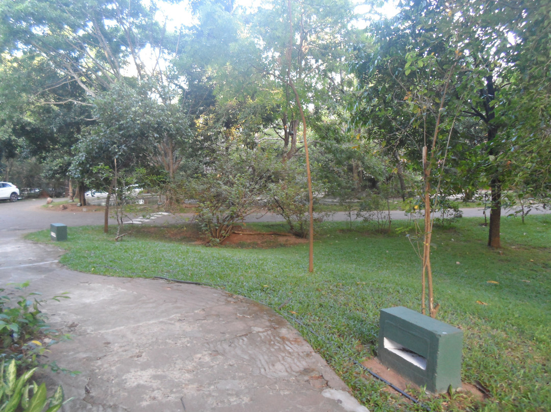 锡吉里亚村酒店主图