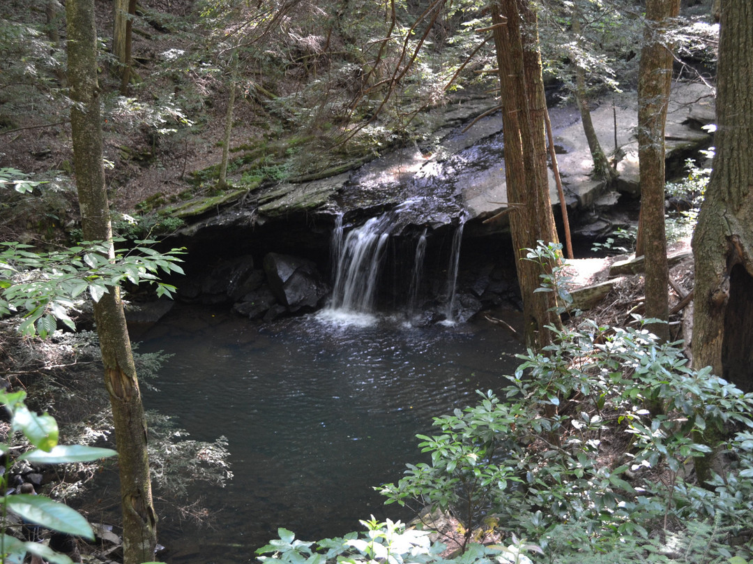 Grundy Forest Natural Area景点图片