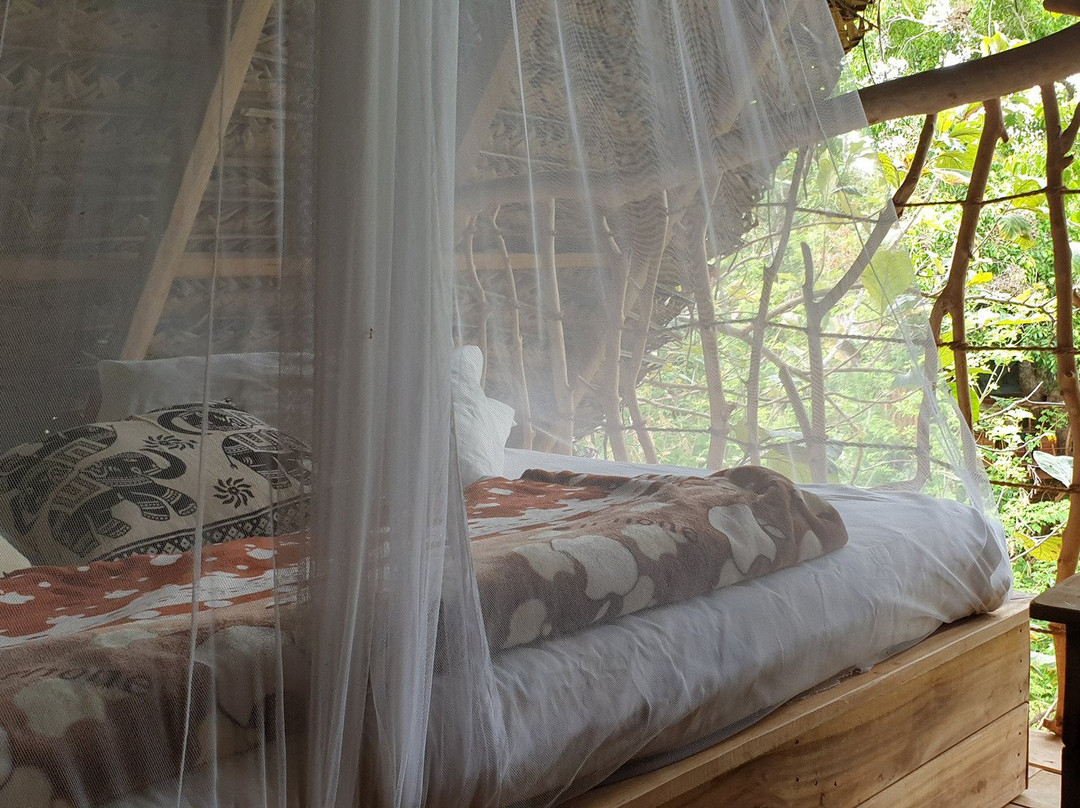 Ambasewana Resort主图