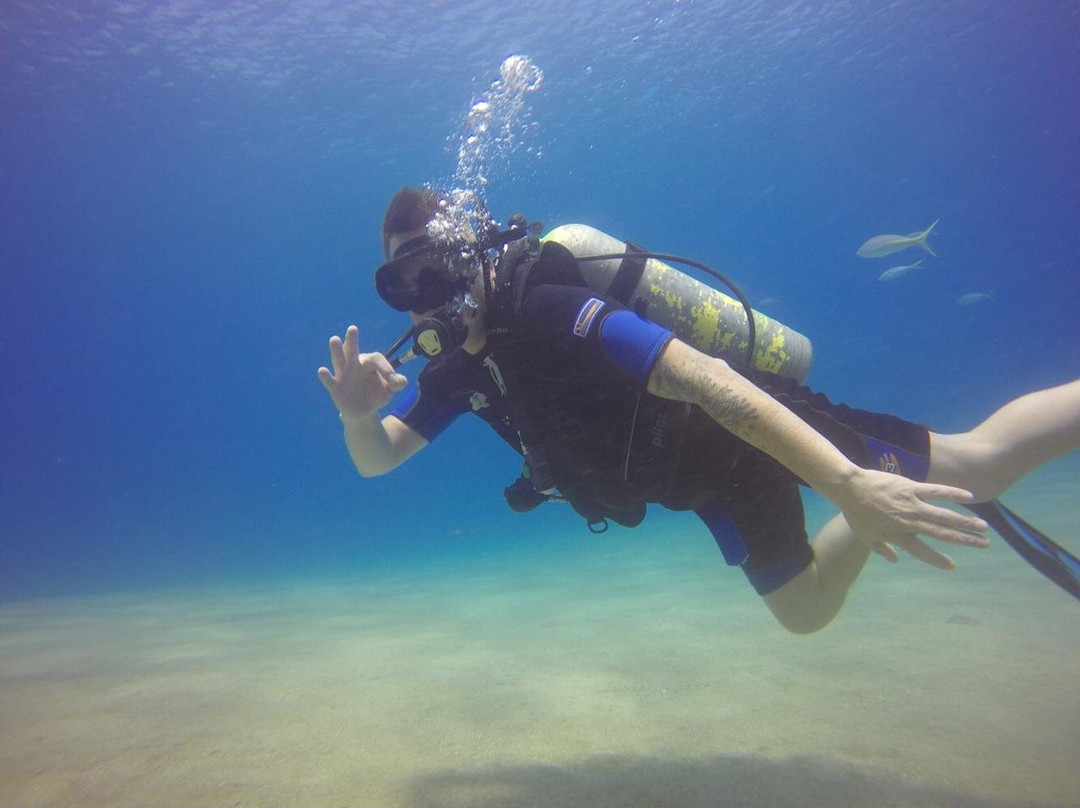 Sosua Diving Center-苏莎亚必去景点