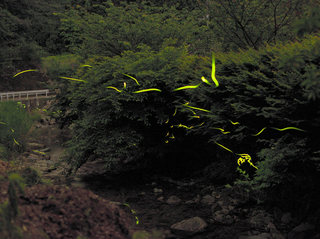 Hotaru no Sato Park-三好市必去景点