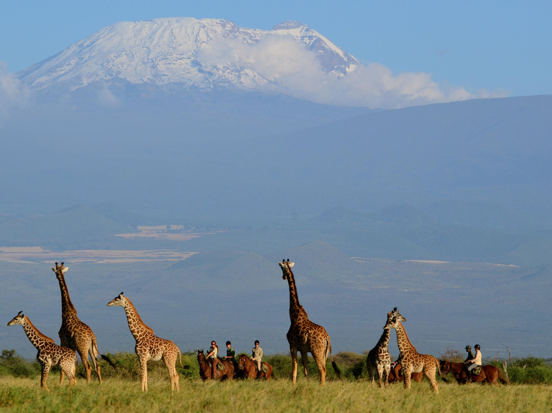 Kaskazi Horse Safaris-Usa River必去景点