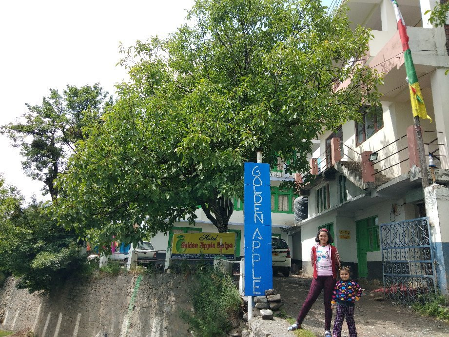 Hotel Golden Apple Kalpa主图