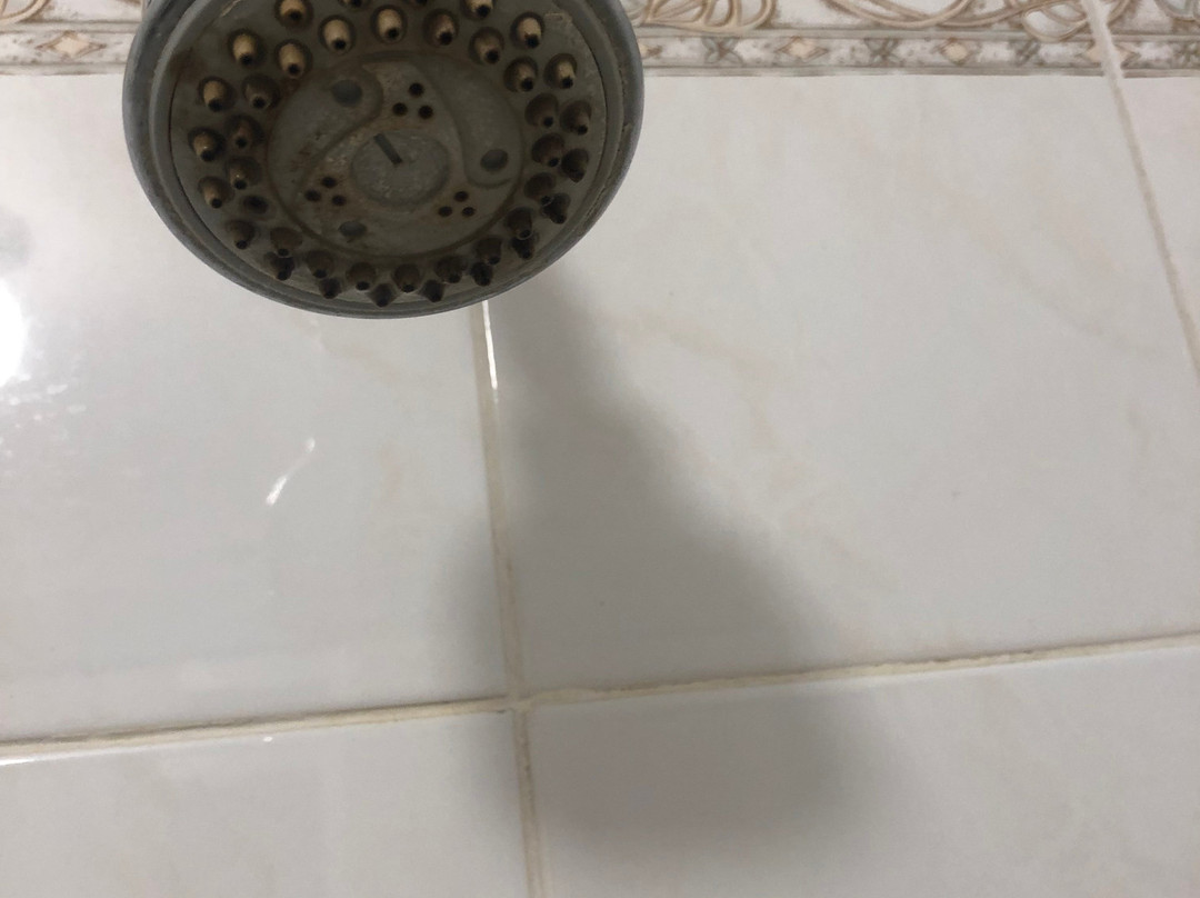 Cootamundra Gardens Motel主图