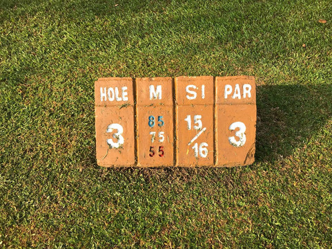 Executive Golf Course-新加坡必去景点