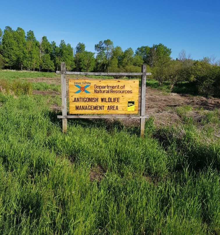 Antigonish Landing Trail-安蒂岗尼希必去景点