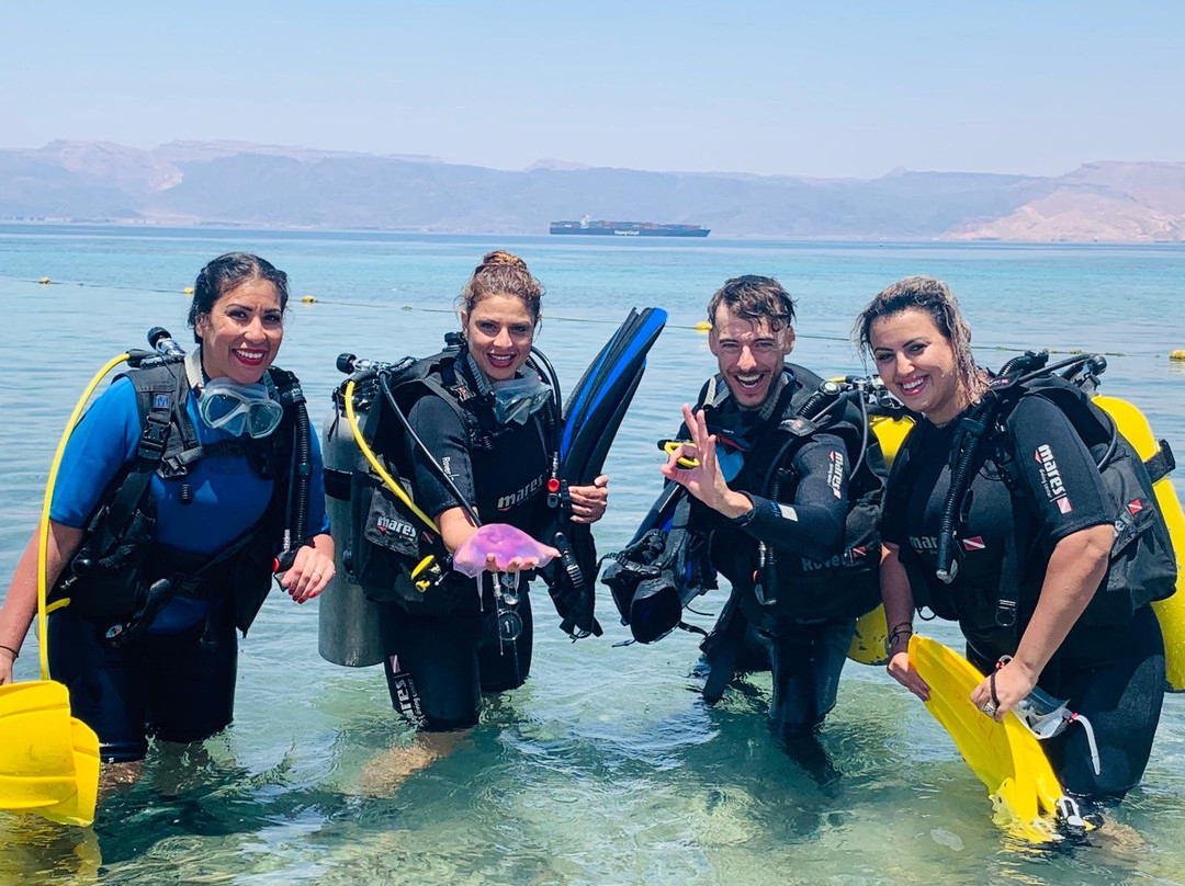 The Dive Center-亚喀巴必去景点