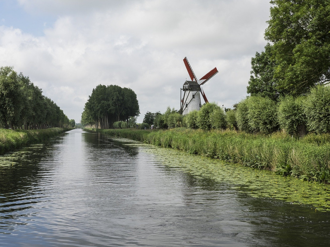 Bruges to Damme Bike Tour景点图片