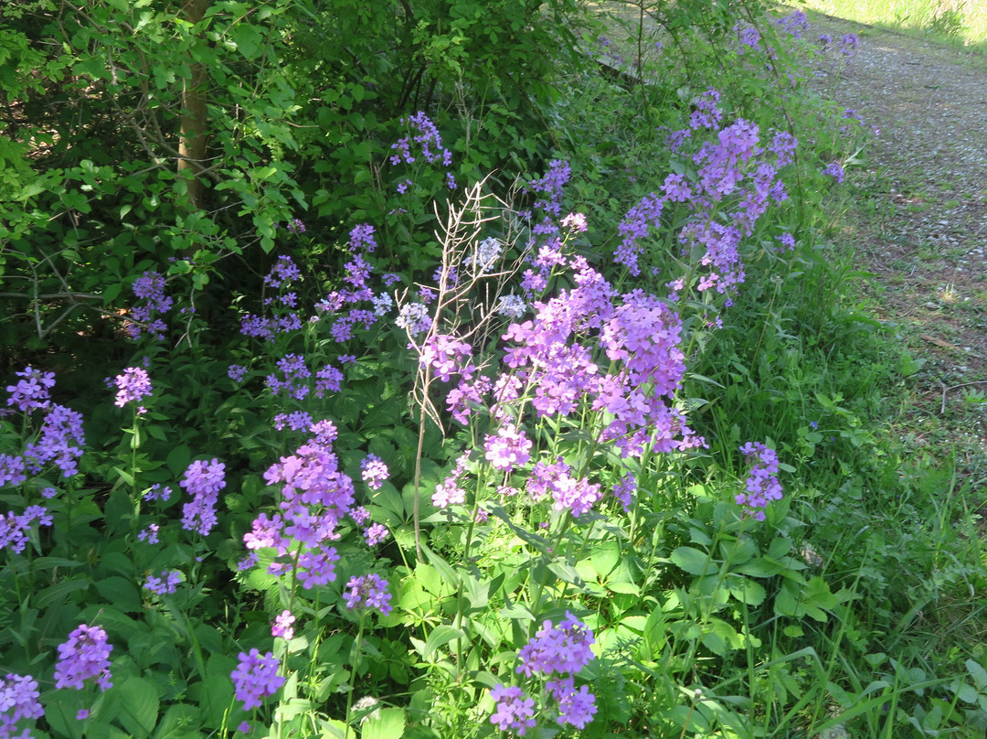 Great Egret Marsh Preserve-Lakeside必去景点