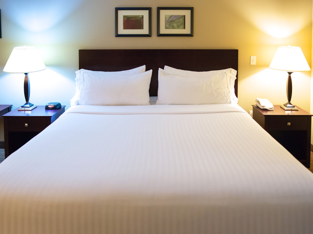 Holiday Inn Express Devils Lake By IHG主图