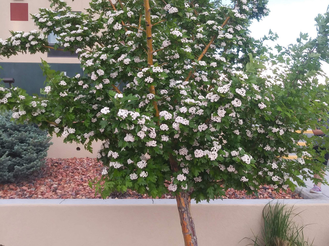 Wind River Hotel主图