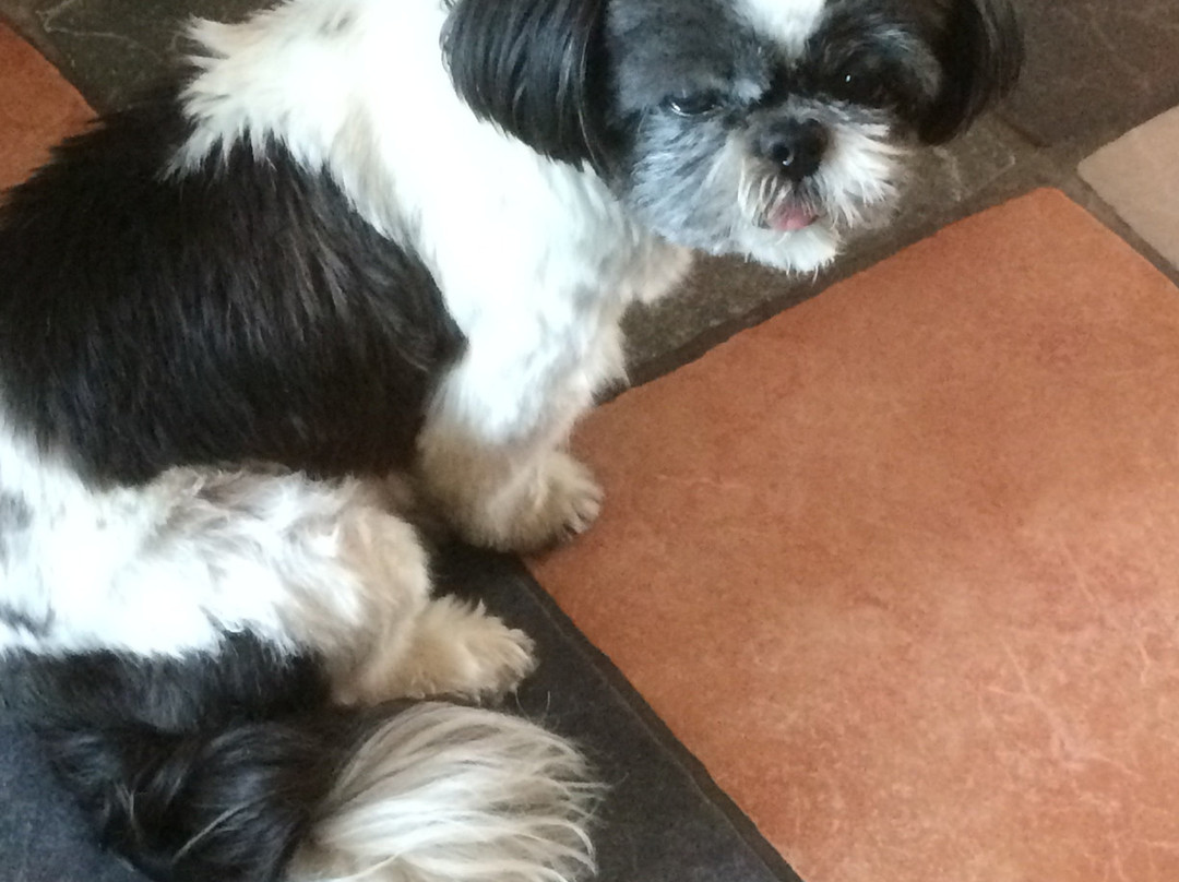 's Lands Welvaren主图