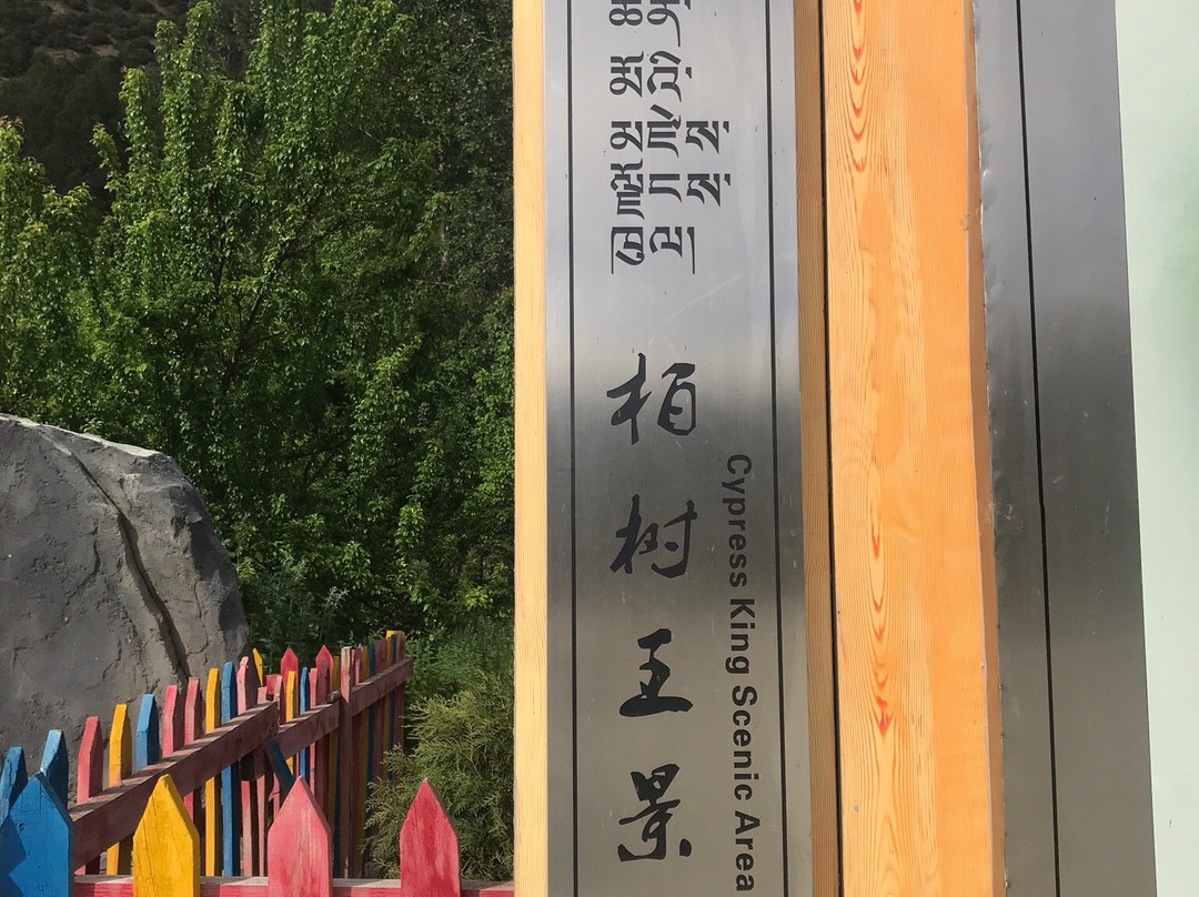 林芝巴结巨柏自然保护区-林芝县必去景点