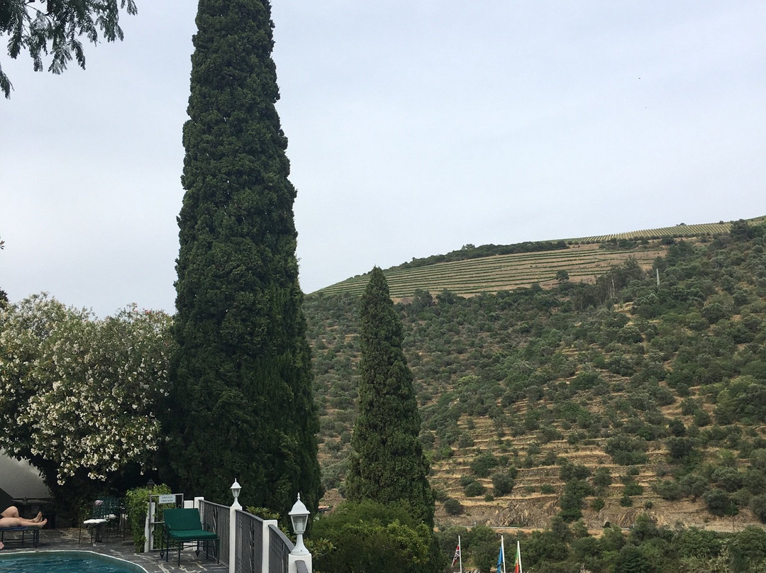 Quinta de la Rosa主图