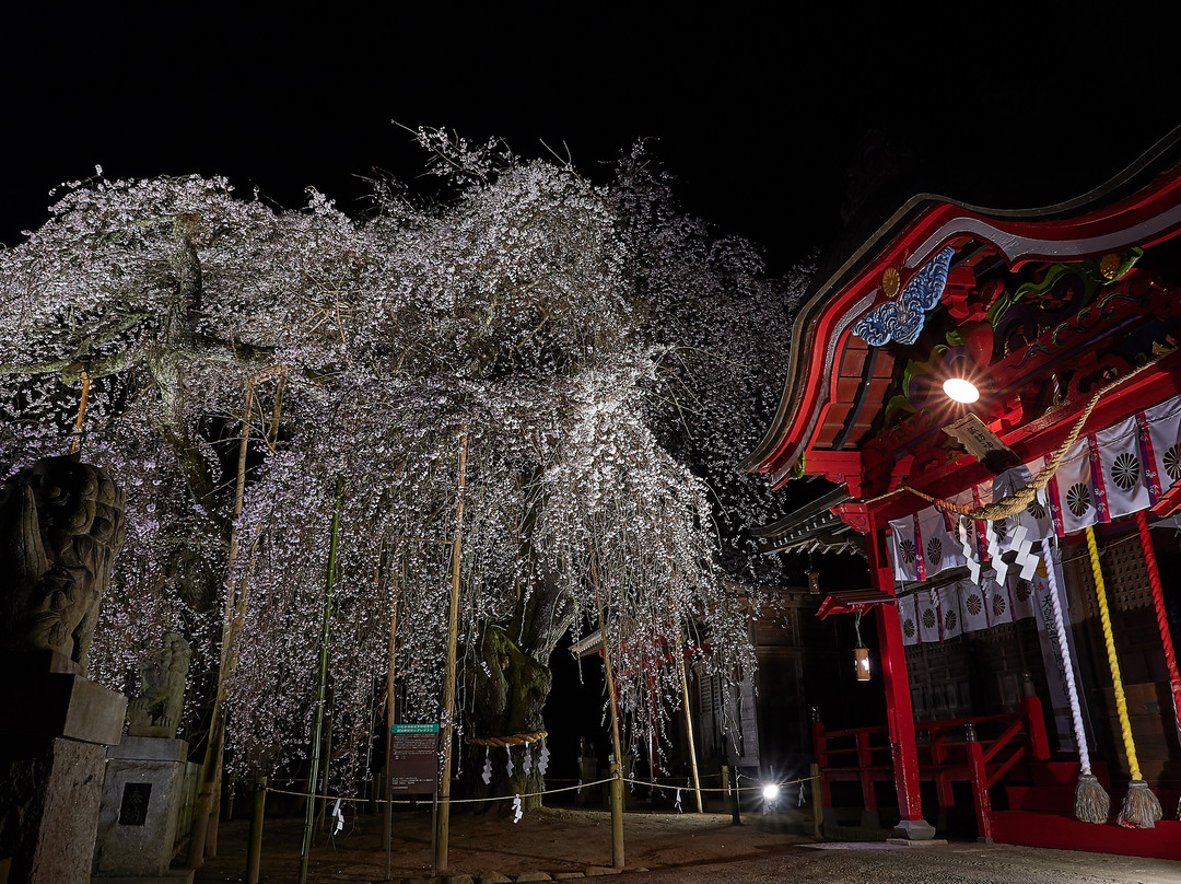 Ogawa Suwa Shrine-盘城市必去景点