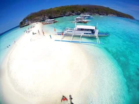 Whale Shark Alona & Oslob-邦劳岛必去景点