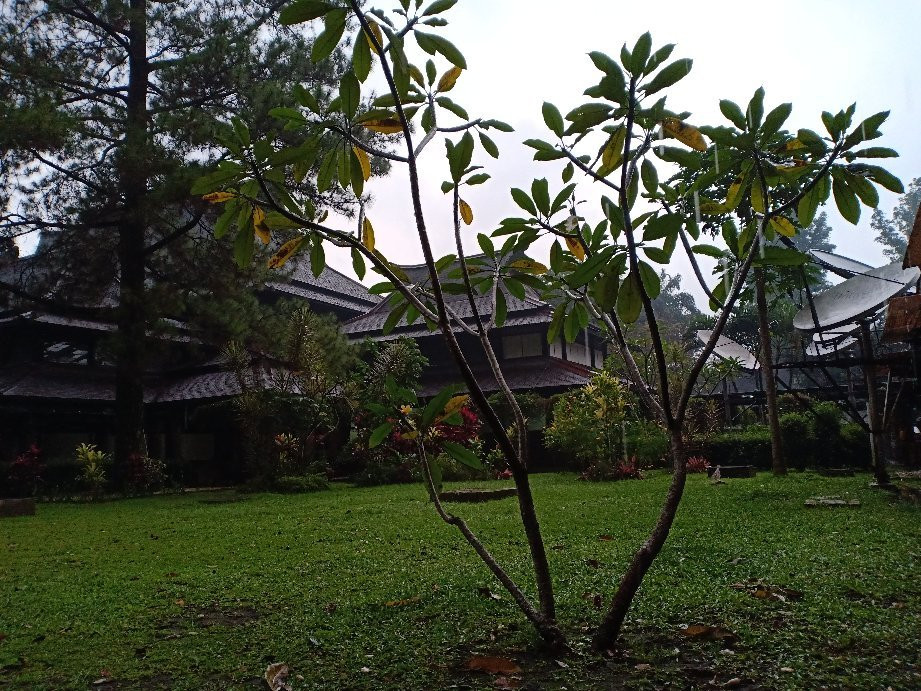 Bandung Institute of Technology-万隆必去景点
