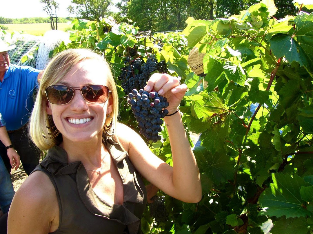 Imperial Tours Portugal-里斯本必去景点