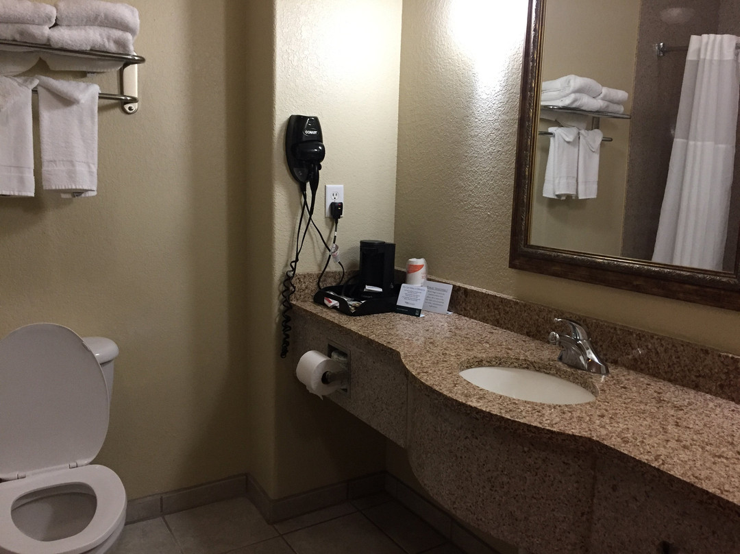 Comfort Inn & Suites主图