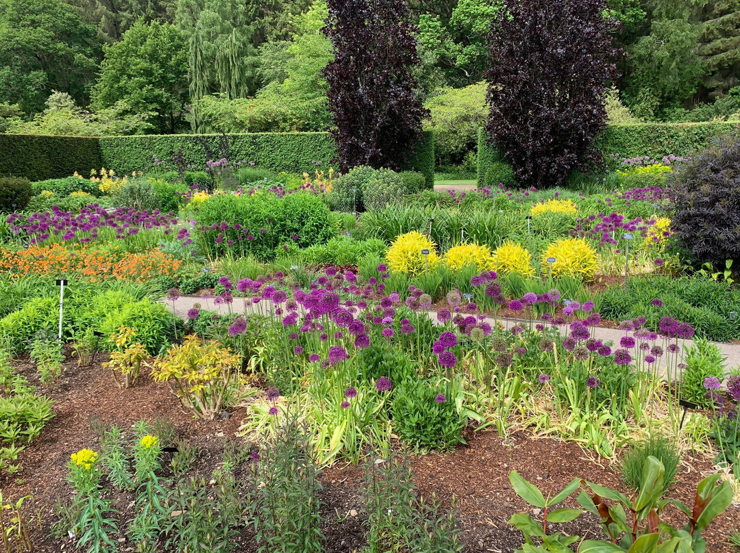 RHS Garden Rosemoor景点图片