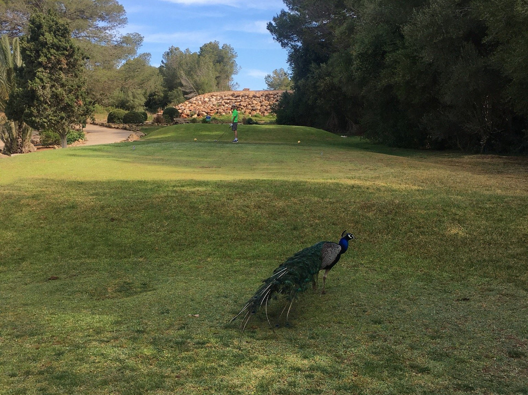 Golf Son Parc Menorca-Son Parc必去景点