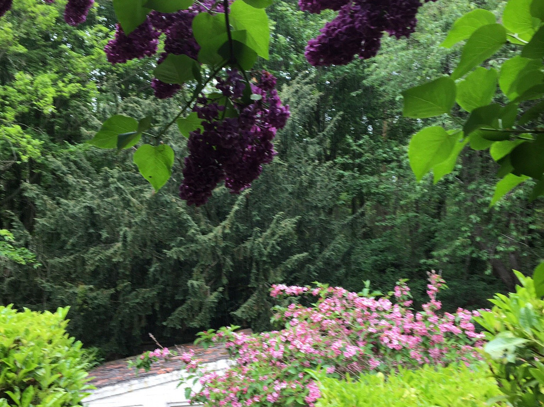 Pretty Corner Woods-Sheringham必去景点