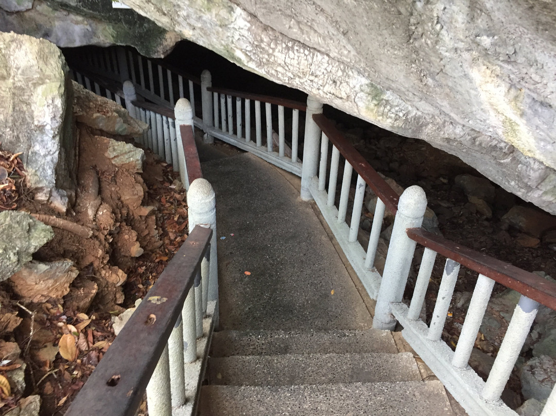Gua Kelawar (Bat Cave)-兰卡威必去景点
