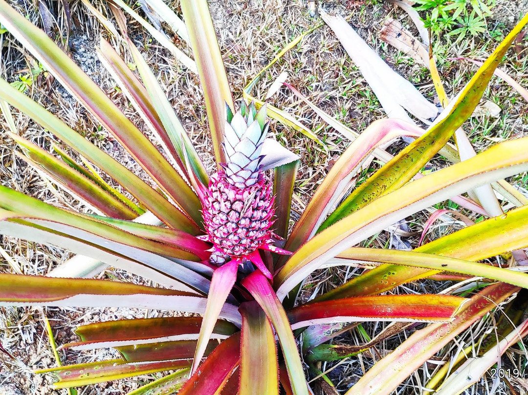 卡萨罗莎酒店主图