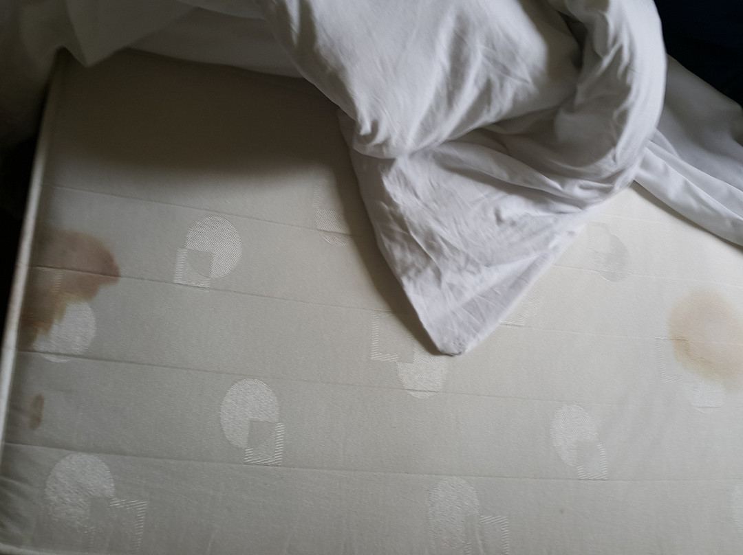 Hotel Chrobry主图
