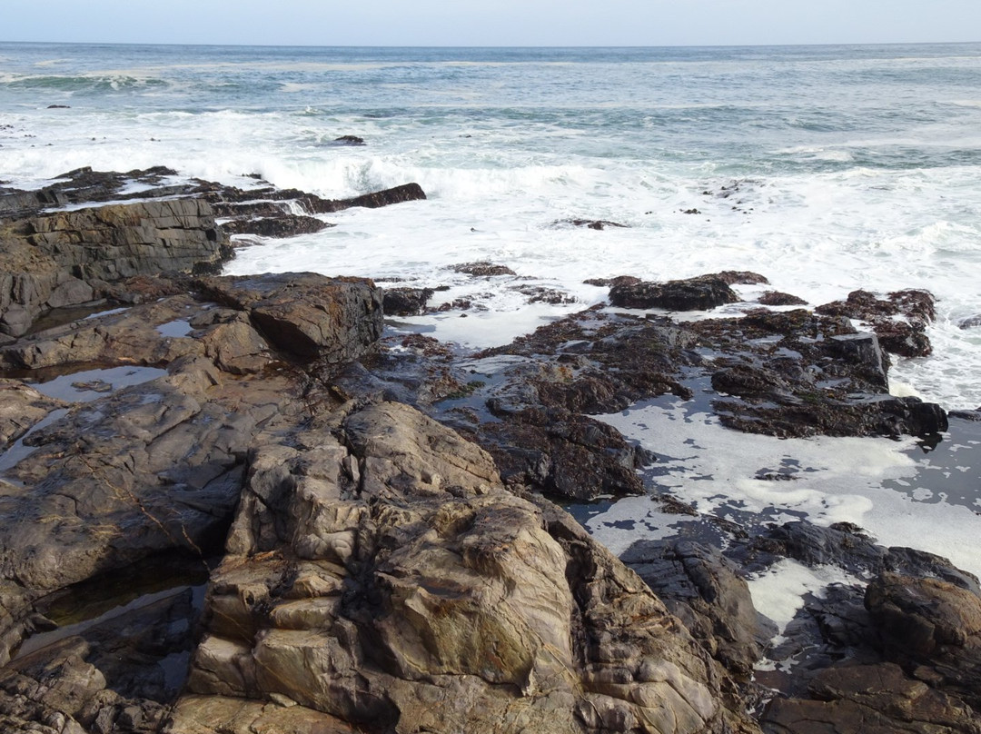 Wilderness Touring-Tokai必去景点