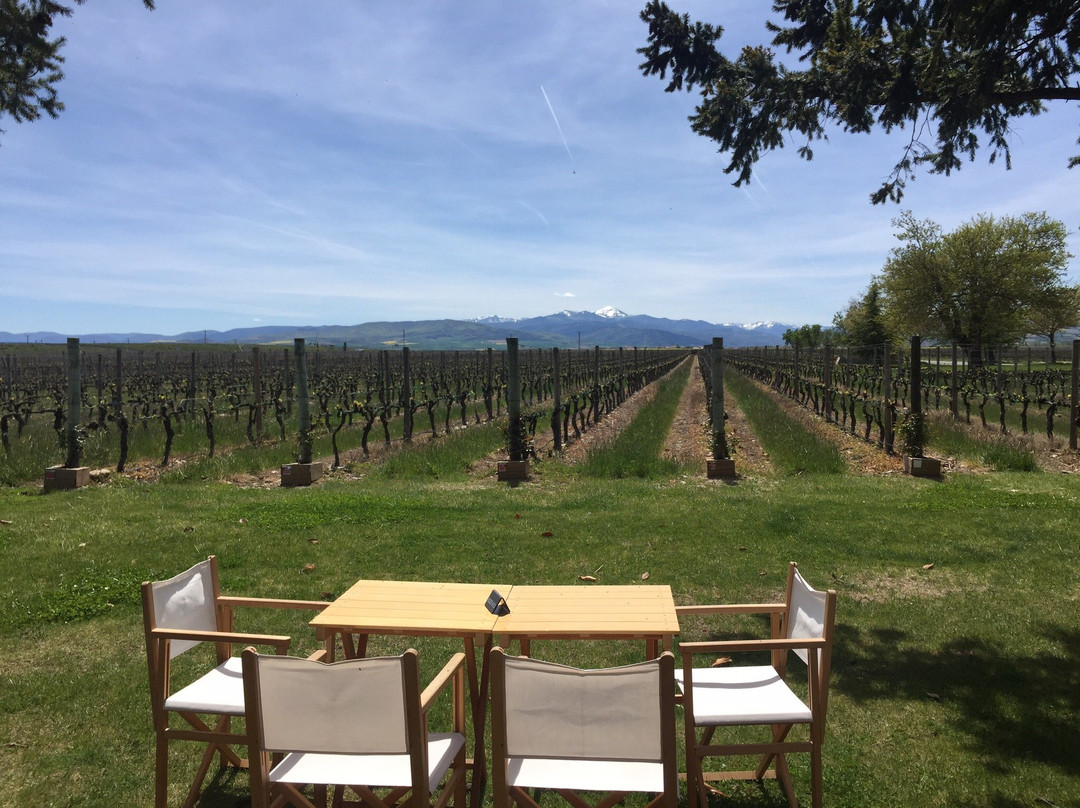 Rioja Wine Tours-洛格罗尼奥必去景点