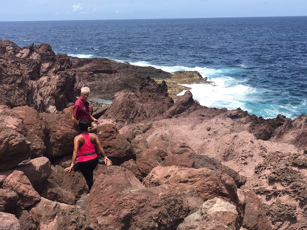 Tide Pools at Flat Point景点图片