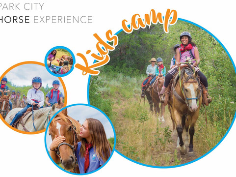 Park City Horse Experience-Kamas必去景点