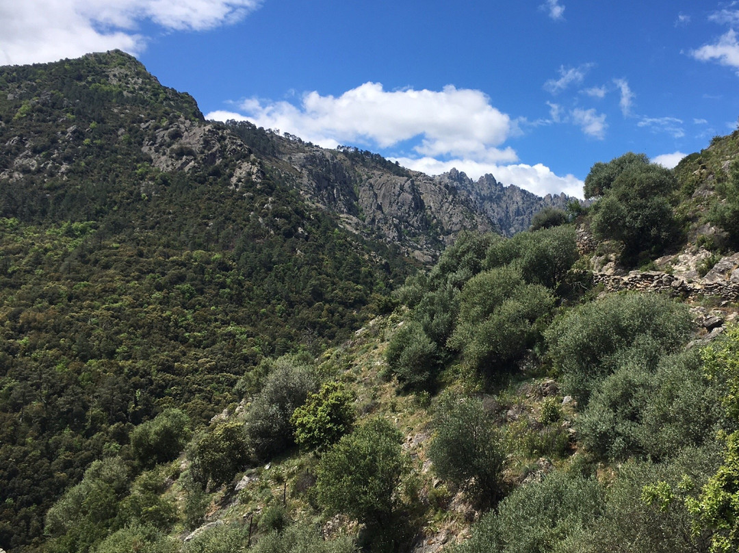 In Corsica景点图片