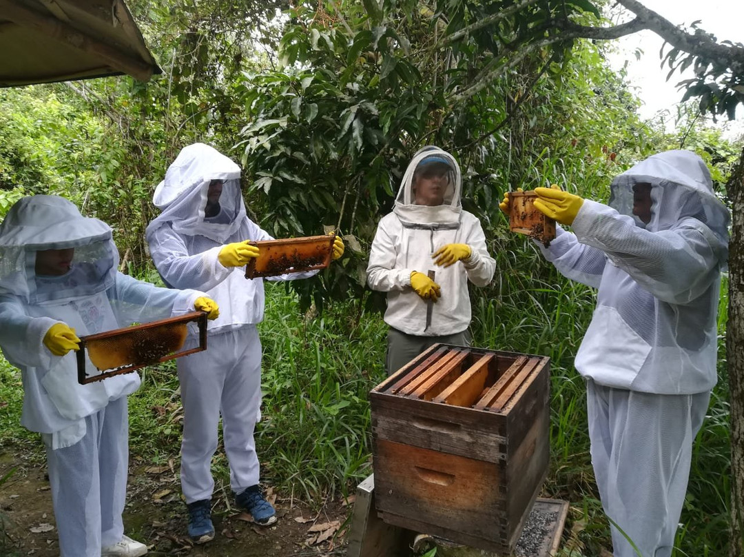 La Ruta de la Miel-Quipile必去景点