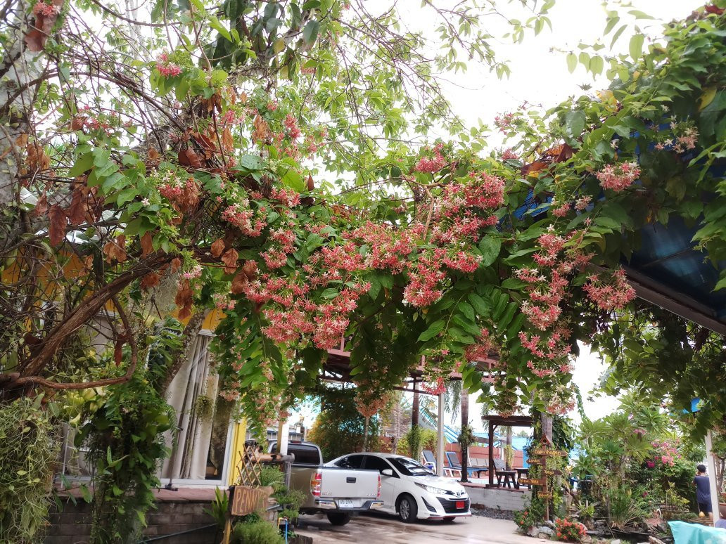 Penny Home Stay Resort主图