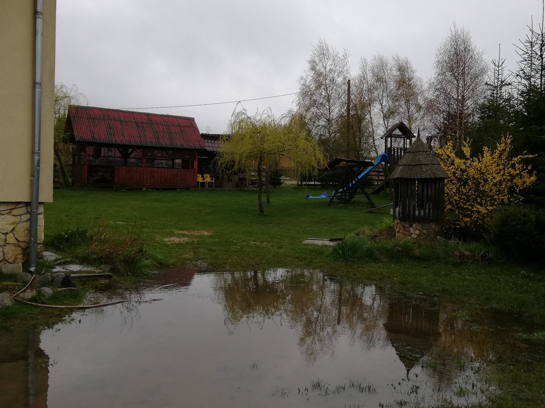 Popasul Iancului主图