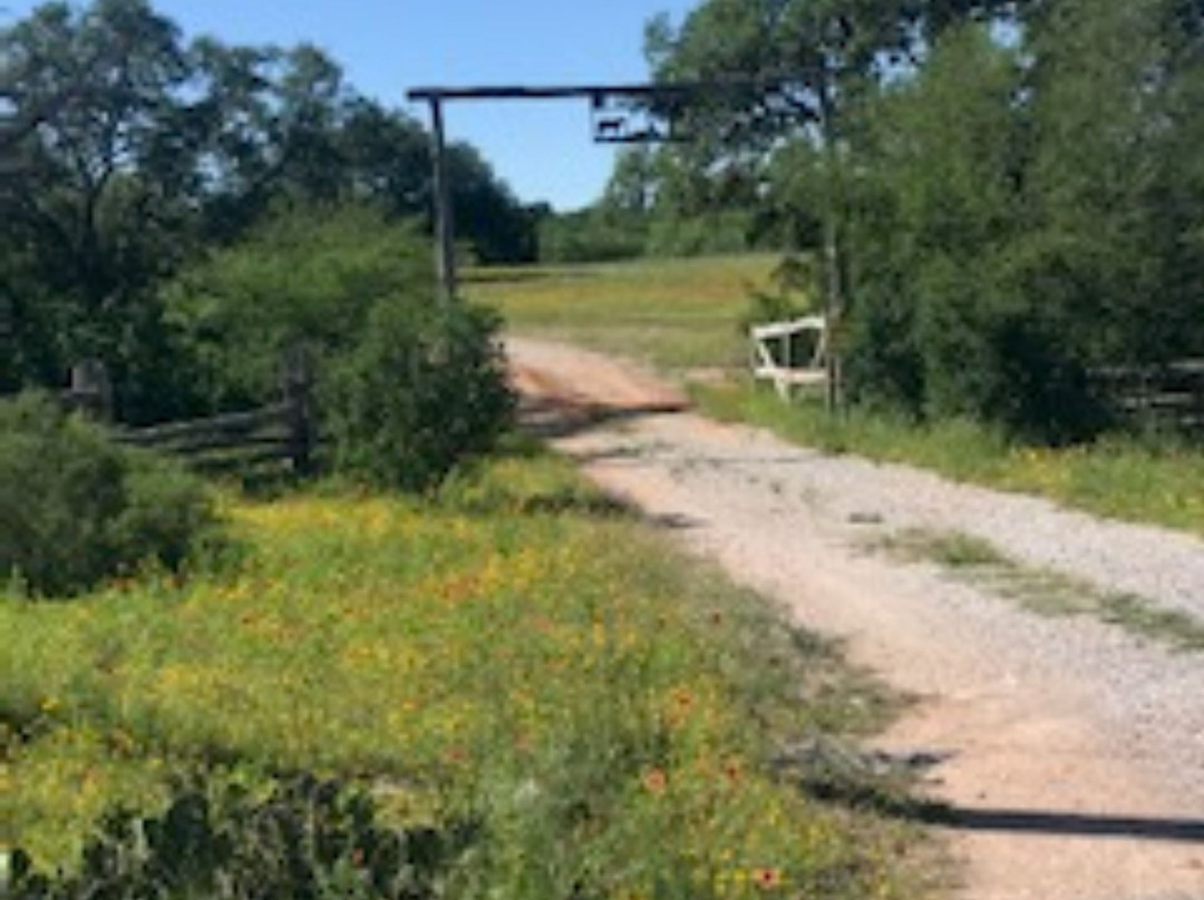 Chanticleer Log Cabin主图